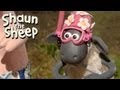 Shaun the Sheep - Championsheeps - Swimming (OFFICIAL VIDEO)
