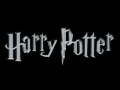 Harry Potter: Theme Song (Hedwig&#039;s Theme)