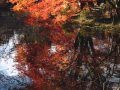 Stephane Grappelli &amp; Yehudi Menuhin - Autumn Leaves